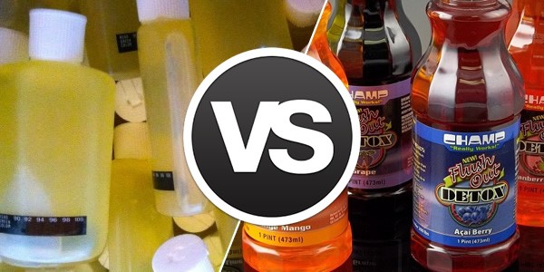 Synthetic Urine For Sale Near Me Hunters Chase Farm Bell FL
